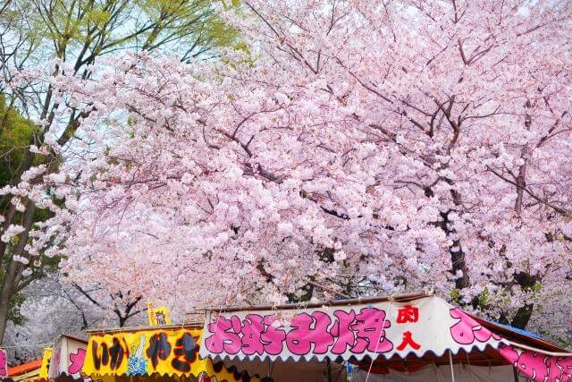 花見　屋台