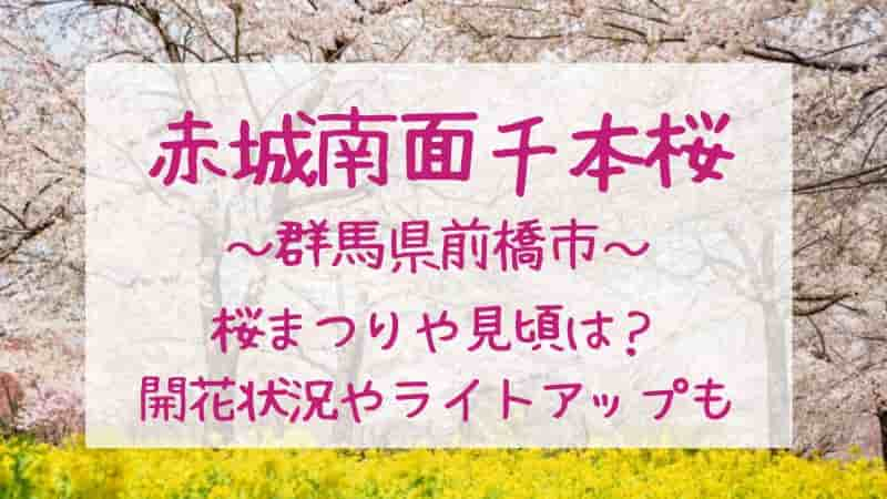 【赤城南面千本桜】2024年の桜まつりや見頃はいつ？開花状況や駐車場も