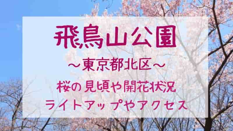 【飛鳥山公園の桜】2024年の見頃や開花状況は？ライトアップや見どころも