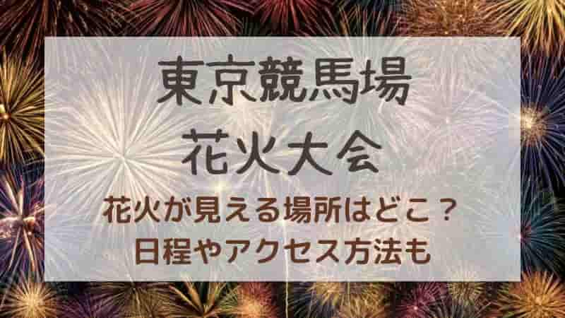 【東京競馬場】シティポップ花火大会2024の穴場スポットは？アクセス方法も