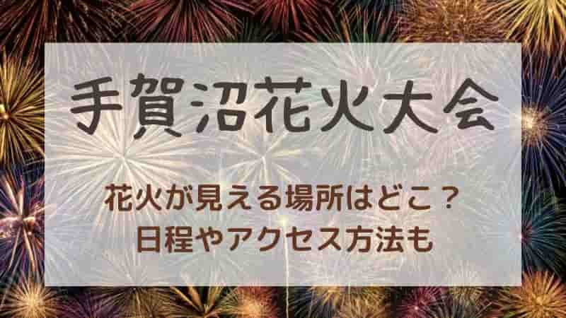 手賀沼花火大会！穴場スポットはどこ？2024年の有料席情報やアクセスも