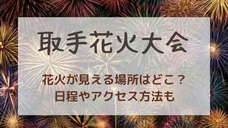 【取手花火大会2024】穴場スポットはどこ？場所取りや有料席・屋台情報も！