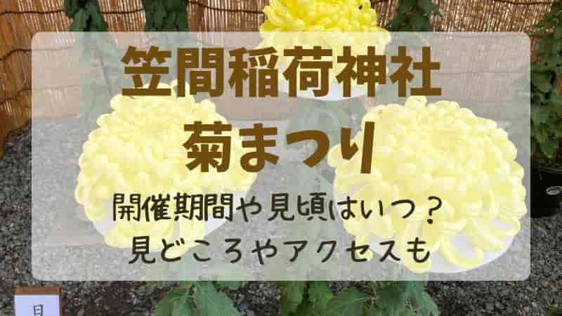 笠間の菊まつり2026徹底攻略！見頃・混雑回避の裏技と最新見どころ