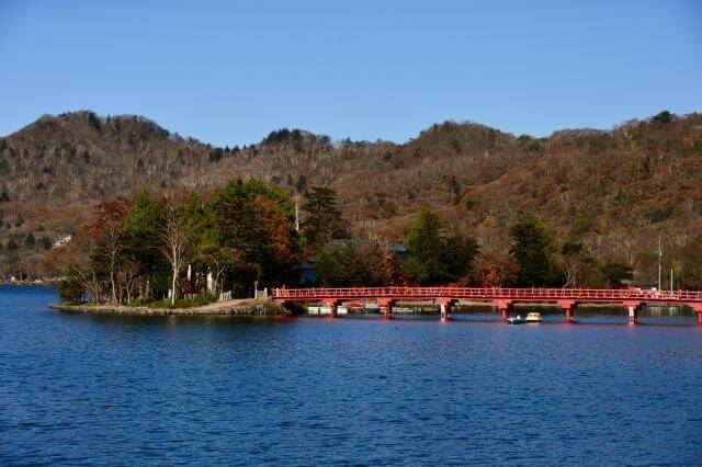 赤城神社　紅葉