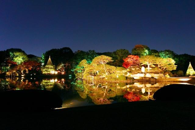 六義園　紅葉　ライトアップ