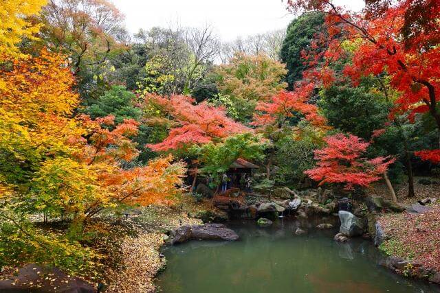 六義園　