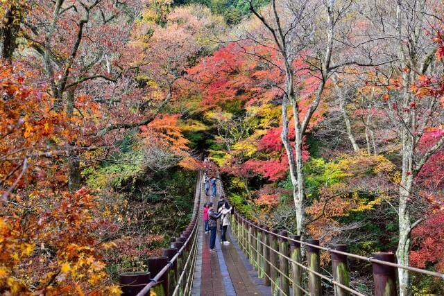 花貫渓谷　紅葉　見頃