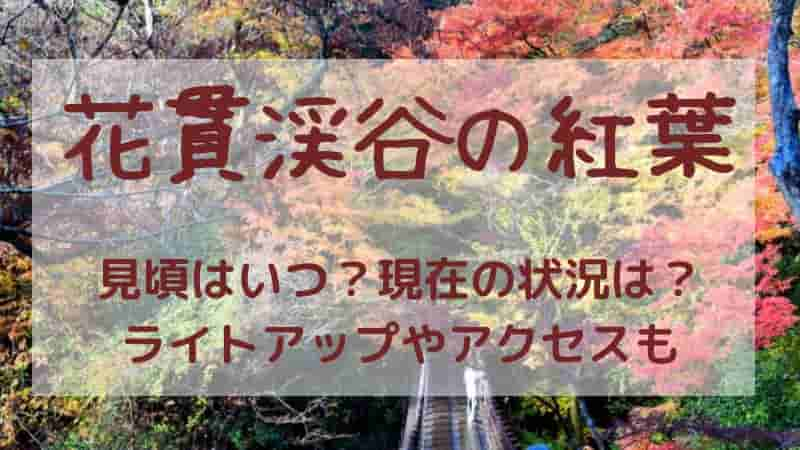 【花貫渓谷の紅葉】2024年の見頃はいつ？ライトアップ情報やアクセス方法も！