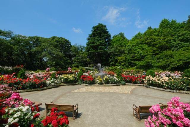 里見公園　市川