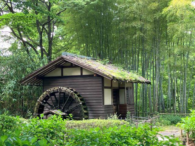 郷土の森 水車小屋