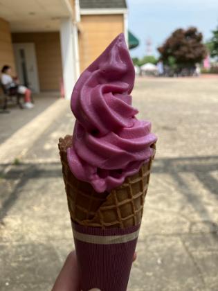 京成バラ園 ソフトクリーム