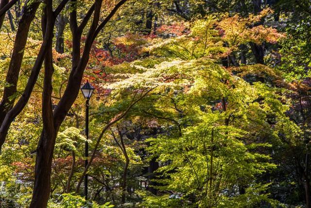 芝公園