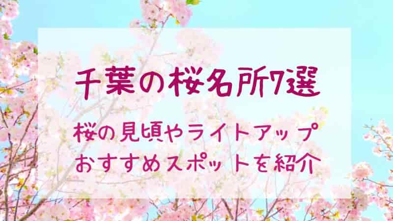 【千葉の桜名所おすすめ7選】2026年の見頃・桜まつり・ライトアップ情報