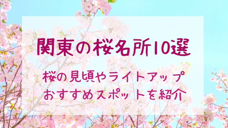 【関東の桜名所おすすめ10選】2026年の見頃・ライトアップ・穴場もご紹介!